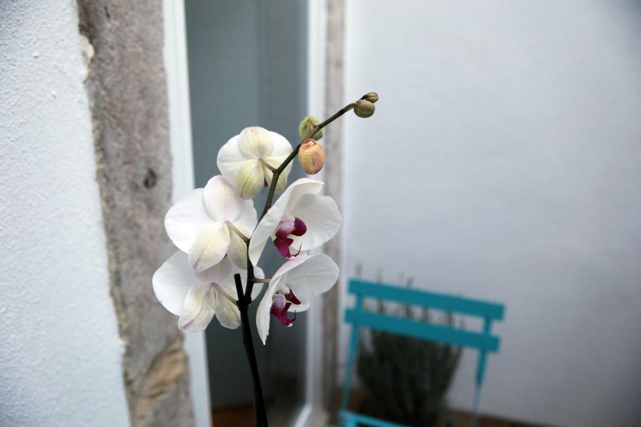 Santo Amaro'S House Apartment Lisbon Exterior photo